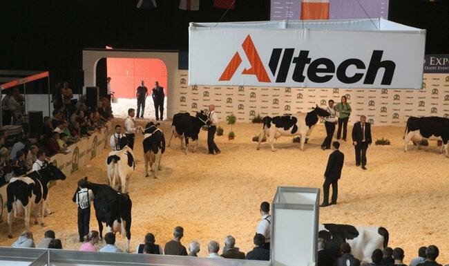 Emerald Expo for Kilkenny