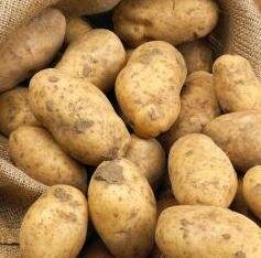 Early Potato supplies fall 40 per cent