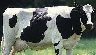 R and D improving Farming Efficiency