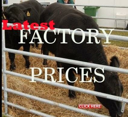 Latest Factory Prices to 6th October