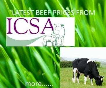 Latest Cattle and Sheep ICSA Prices