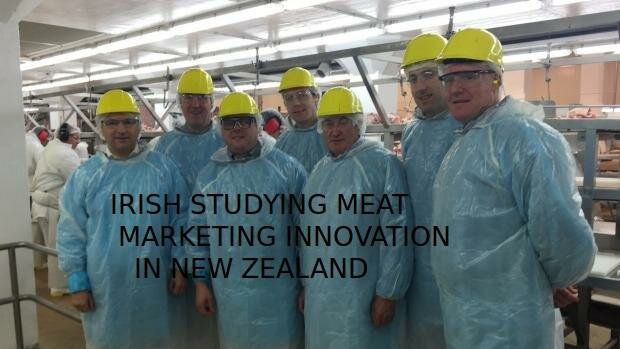Irish are studying Innovation in Food Marketing in New Zealand