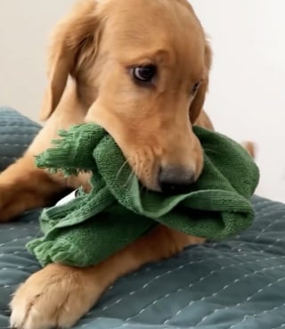 Luca with an eclectic gift