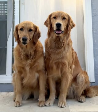 Lola and Luca together