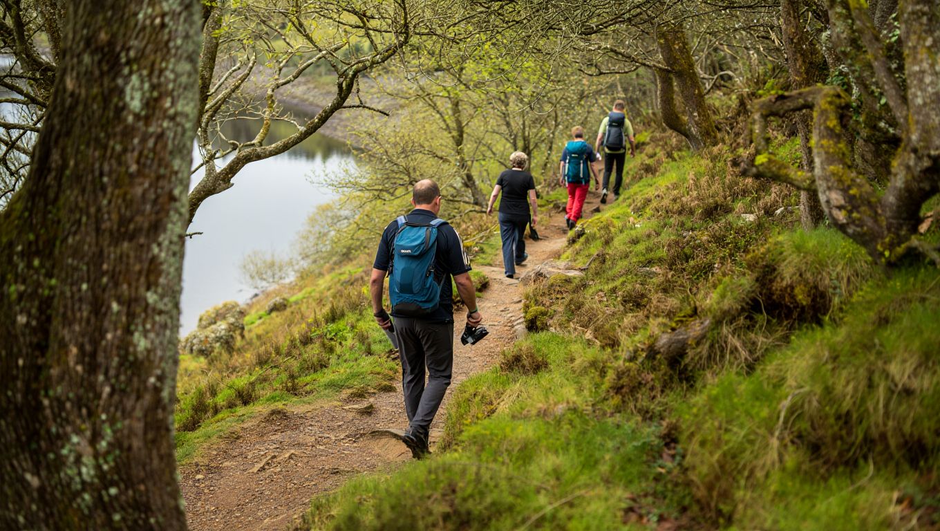 Locals gave up on Glendaloughʼs car parks years ago and these days they head for the quiet trails above Lough Key